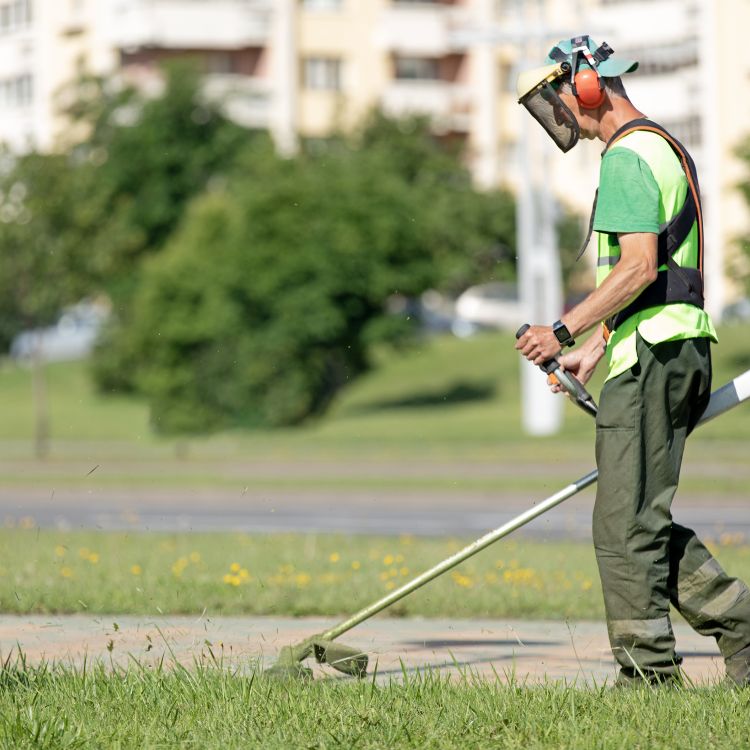 A person strimming grass