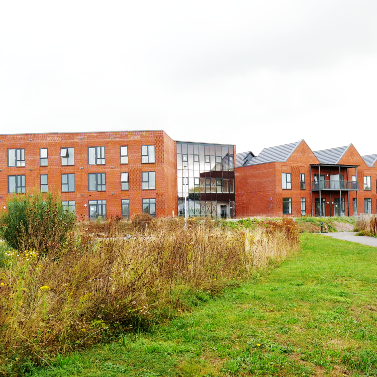 Cathedral Park | Platform Housing Group