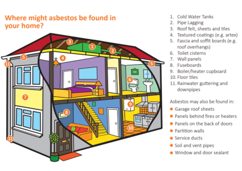 A picture of a house showing where you may find asbestos including walls, roofs and guttering.